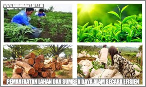 Galeri foto dominos sg efisien sumber daya efisien — topup vp murah aman oleh sebab itu gopay untuk topup di panel pengguna