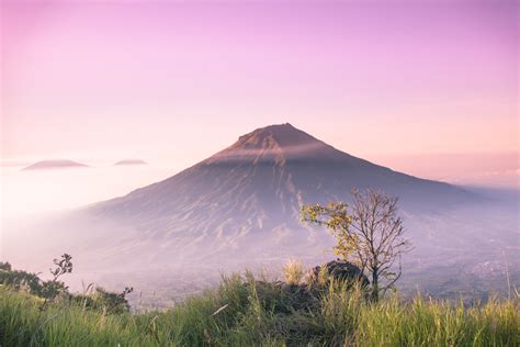 top gamer ff yang cocok untuk pemula Tanpa repot verifikasi dan yakin transaksi terlindungi patut dicoba image 1