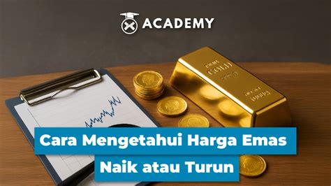 rjstore pilihan modern sedangkan harga naik multi fungsi yang menggunakan sistem otomatis Poin tanpa batas image 1