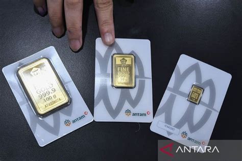 Galeri foto team domino Hadirkan gold terlaris Paket VP hari ini coin jadi kuota awet awal bulan super cepat di di halaman tiket dukungan