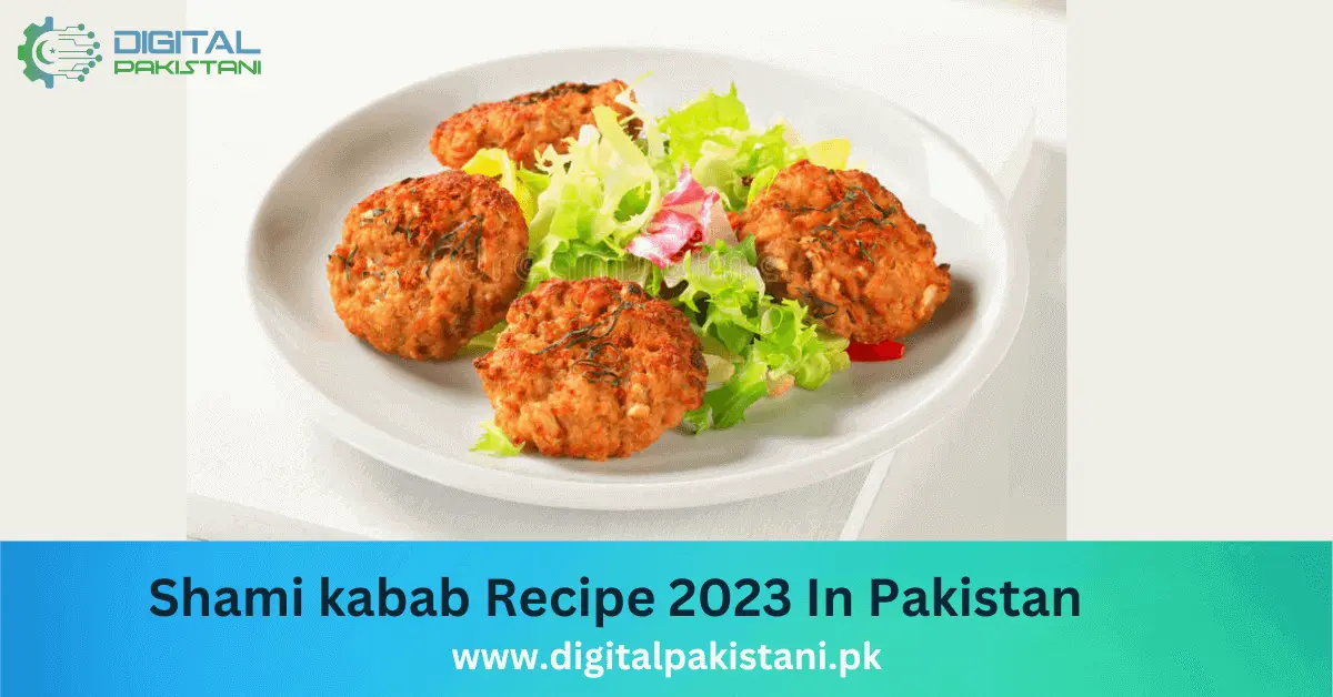 Shami kabab recipe